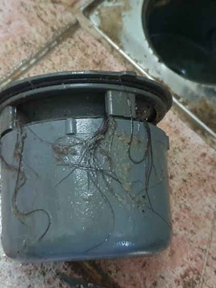 갤러리