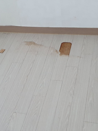 갤러리
